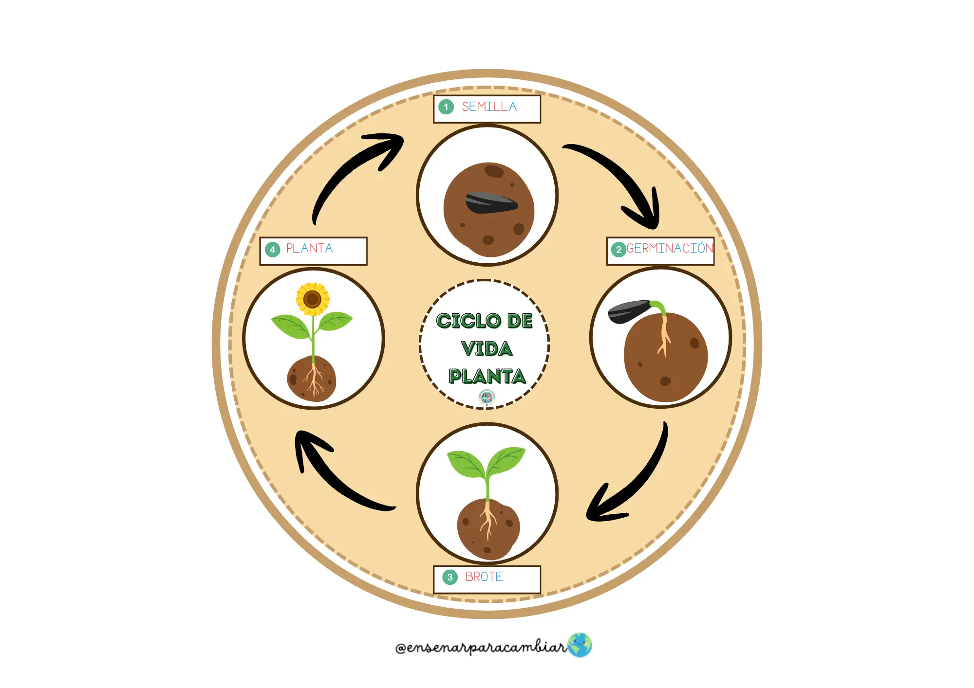 Pack imprimible de primavera para 3 años con tarjetas de vocabulario y actividades para mesa de luz